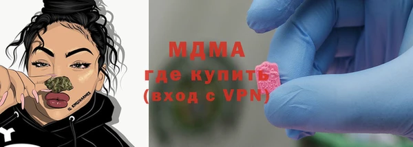 хмурый Ельня