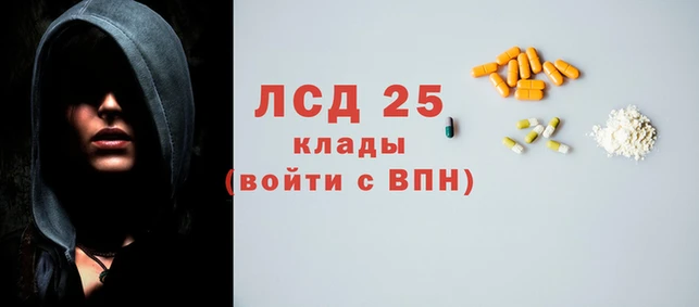 гидропоника Елабуга