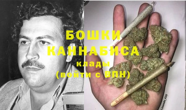хмурый Ельня