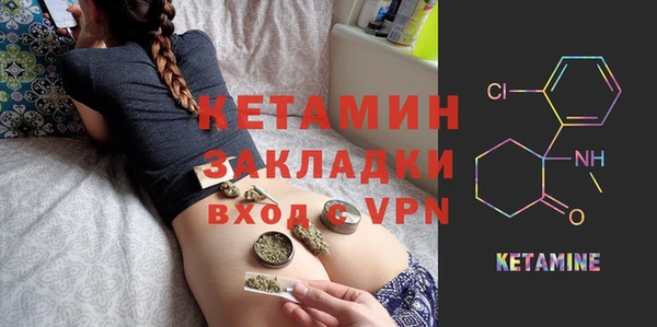 хмурый Ельня