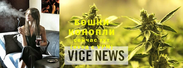 хмурый Ельня