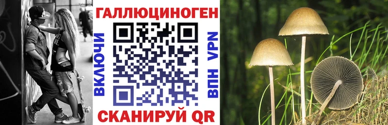 Галлюциногенные грибы Magic Shrooms  купить   mega ТОР  Коломна 